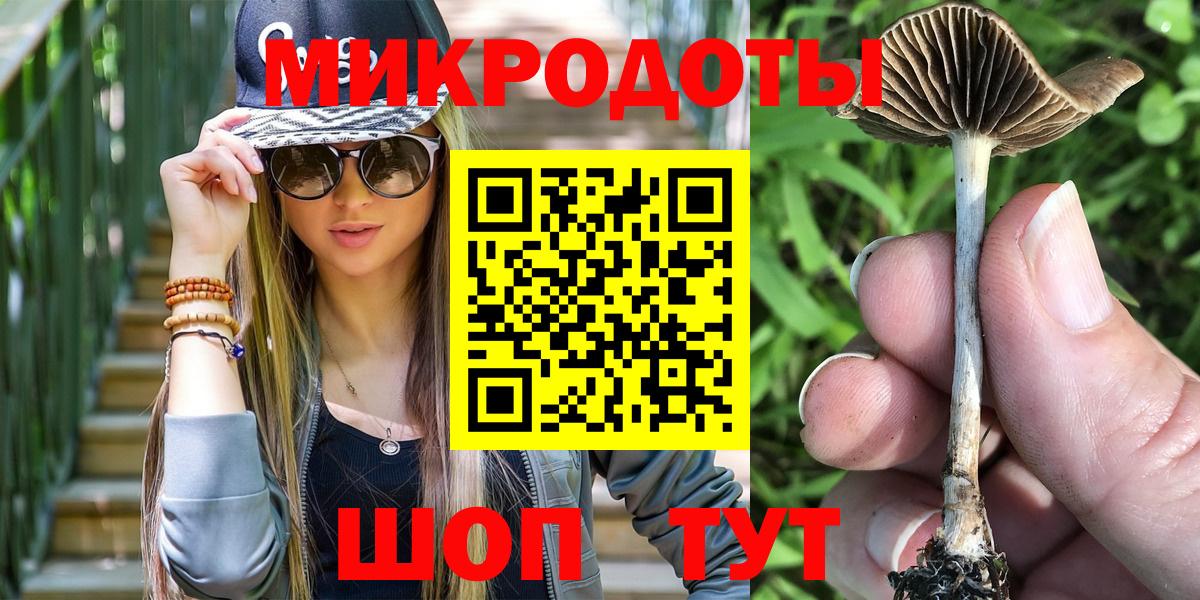 Псилоцибиновые грибы мухоморы  Вход с VPN  купить наркоту  Светлоград 