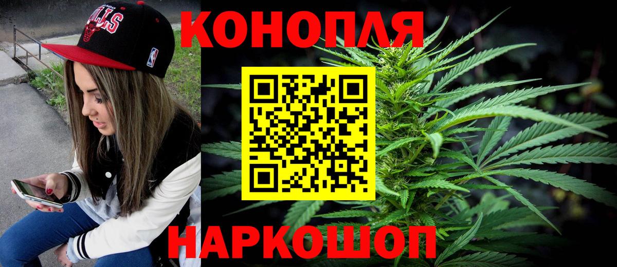 Бошки Шишки планчик Светлоград